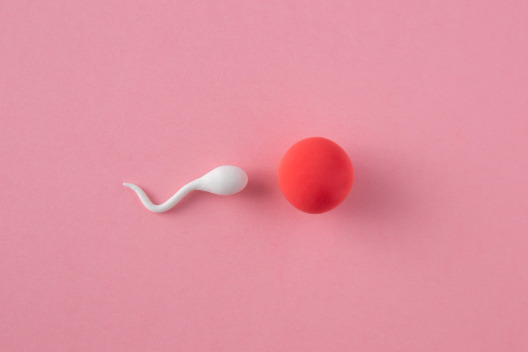 Low Sperm Count